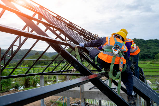 Best Roof Leak Repair  in De Motte, IN