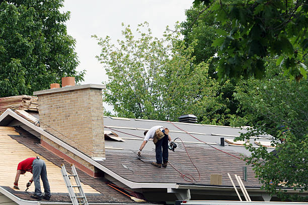 Best Storm Damage Roof Repair  in De Motte, IN