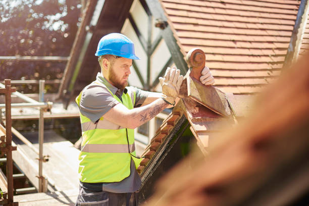 Best Roof Waterproofing Services  in De Motte, IN