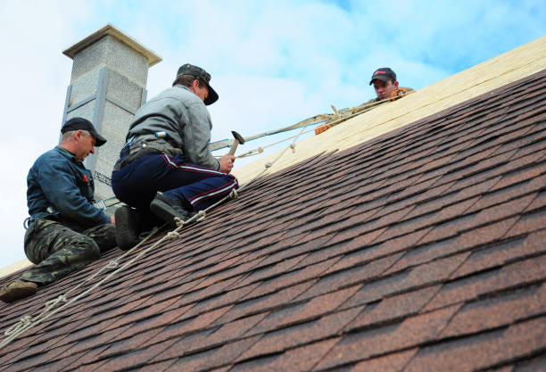Best Tile Roofing Contractor  in De Motte, IN